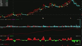 競價外包托管客服發貨篇 貨到付款如何用順豐軟件下單與競價冷門產品的軟件外包服務解析